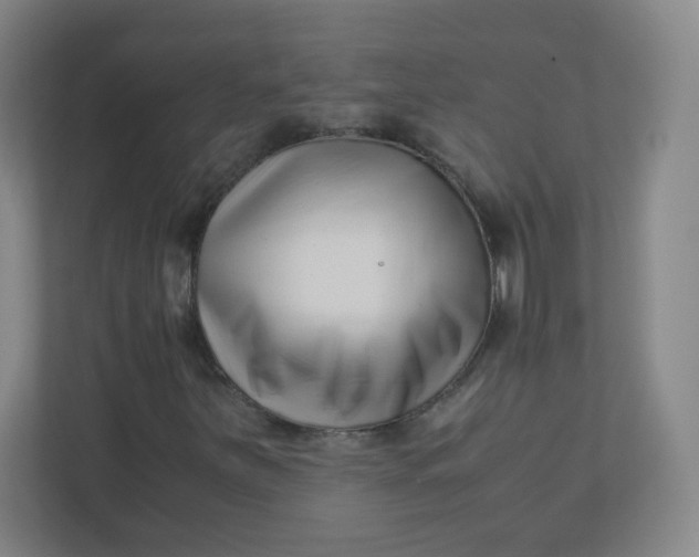 X0000110771251200906291041