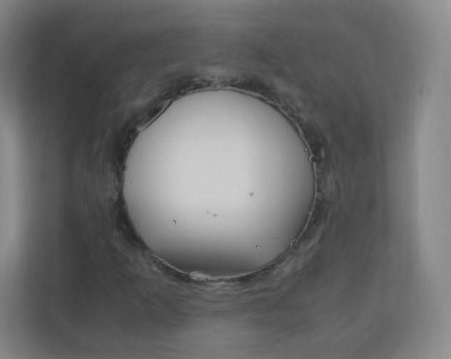 X0000110771253200906291041