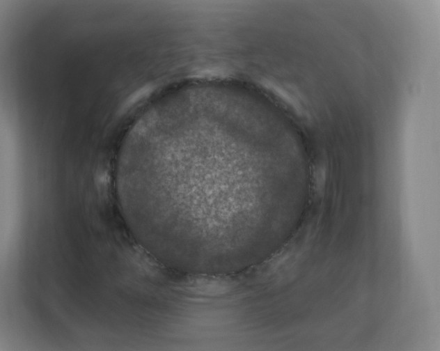 X0000110771254200906291041