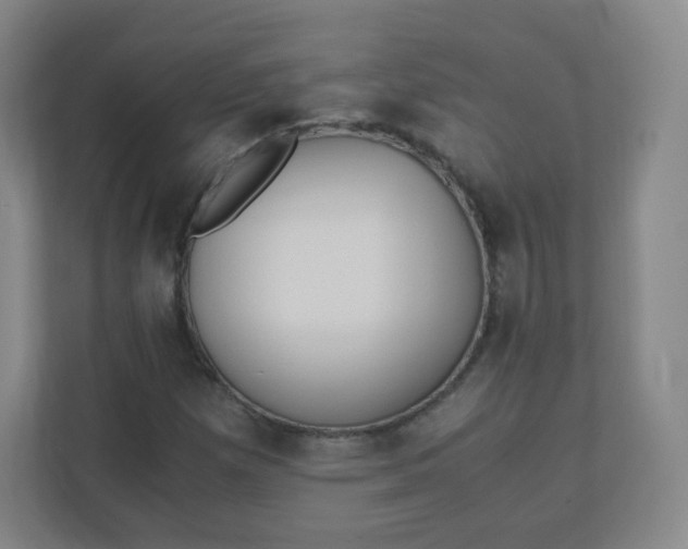 X0000110771257200906291041