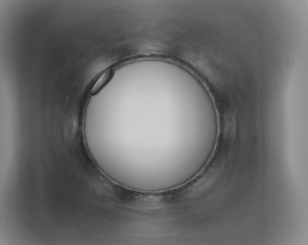 X0000110771261200906291041