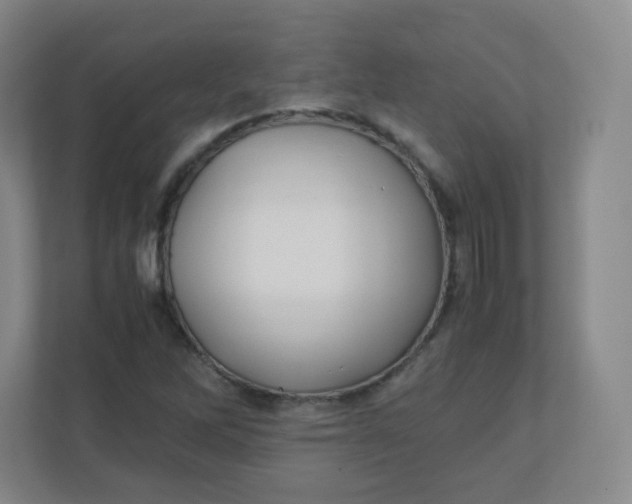 X0000110771262200906291041