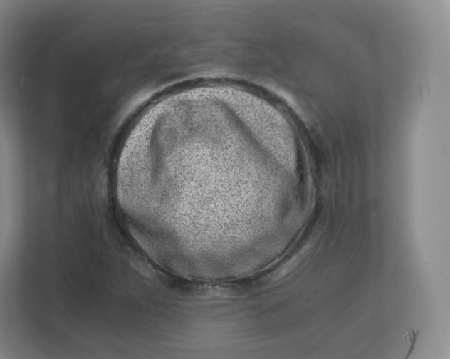 X0000110771263200906291041