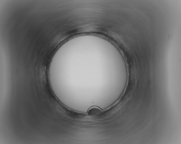 X0000110771265200906291041