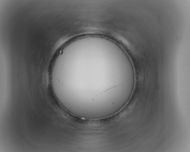 X0000110771267200906291041