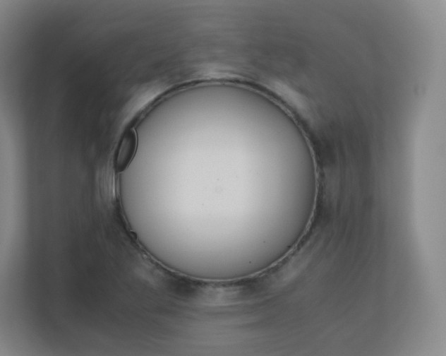 X0000110771269200906291041