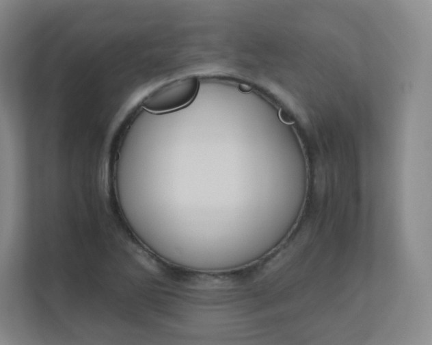 X0000110771270200906291041