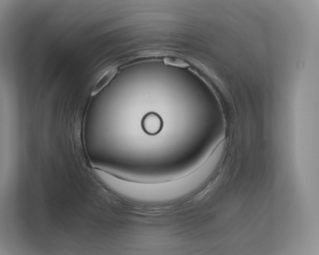 X0000110771273200906291041