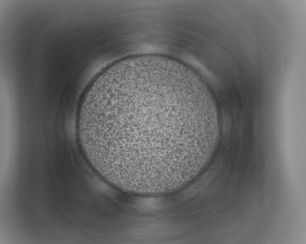 X0000110771278200906291041