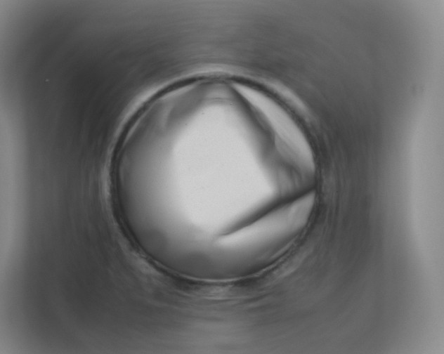 X0000110771279200906291041