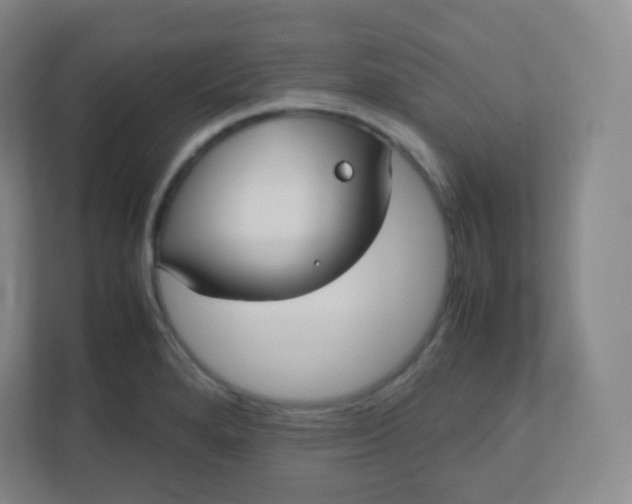 X0000110771280200906291041