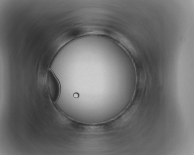 X0000110771281200906291041