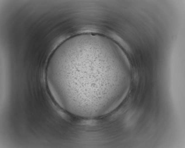 X0000110771282200906291041