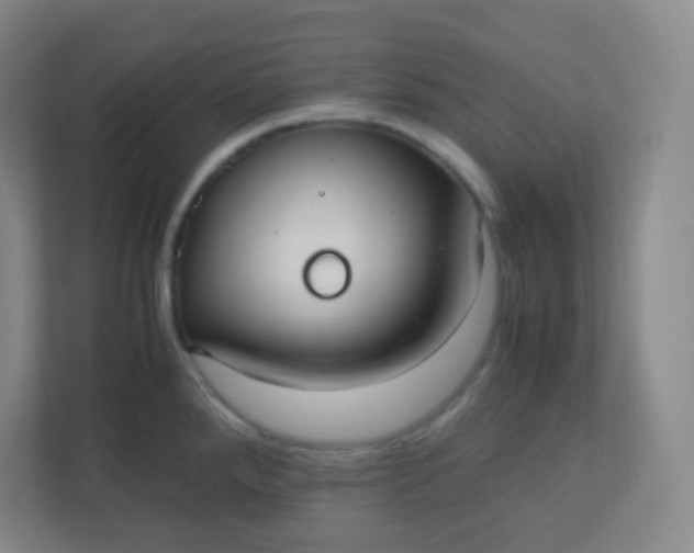 X0000110771288200906291040