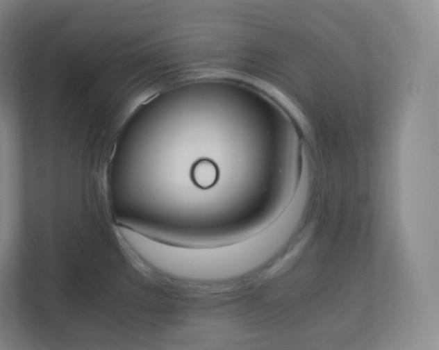 X0000110771289200906291040