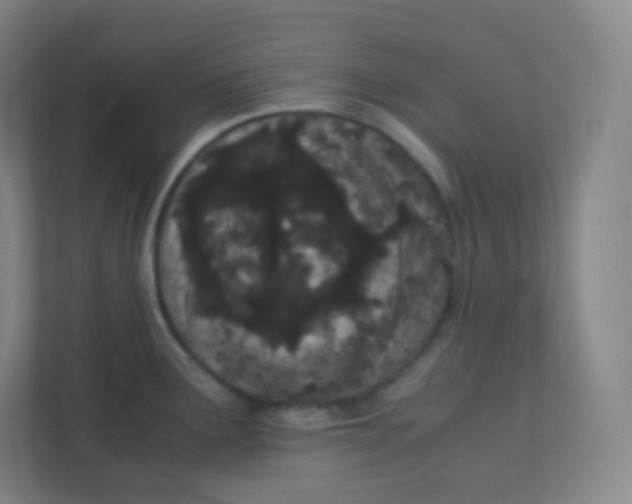 X0000110771291200906291040