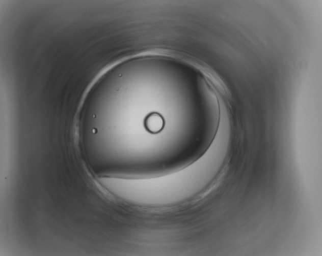 X0000110771292200906291040