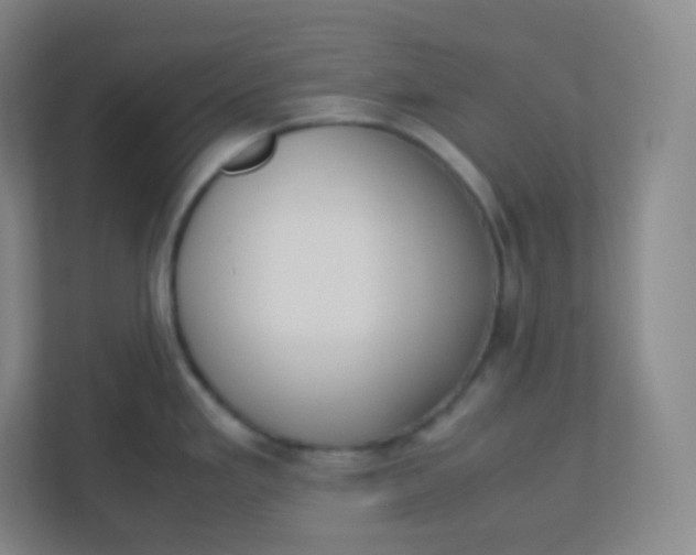 X0000110771293200906291040