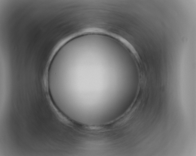 X0000110771295200906291040