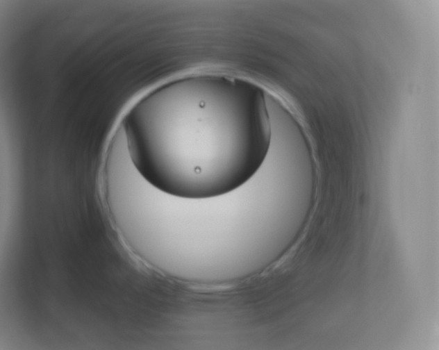 X0000110771296200906291040