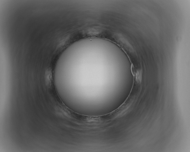 X0000110771299200906291040