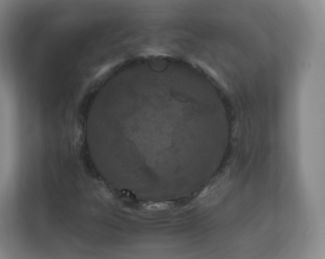 X0000110771303200906291040