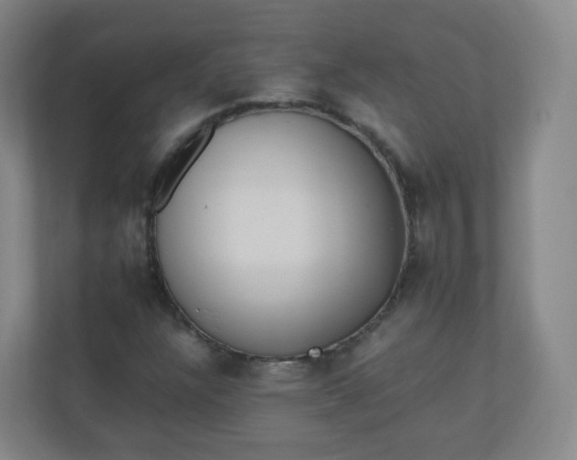 X0000110771304200906291040