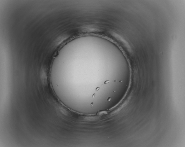 X0000110771305200906291040