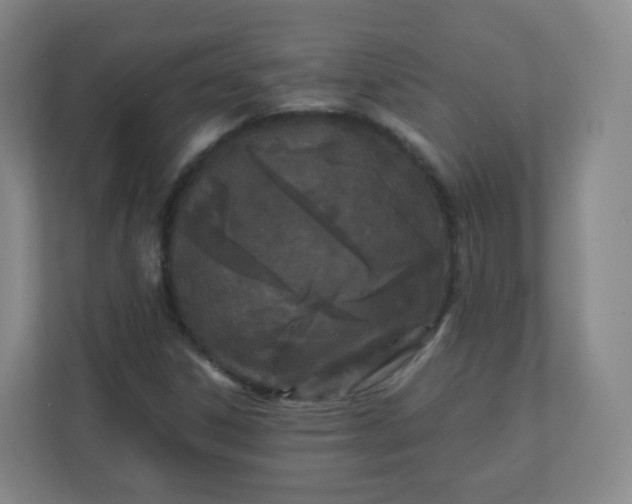 X0000110771306200906291040