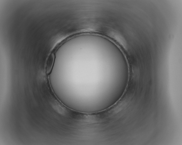 X0000110771308200906291040