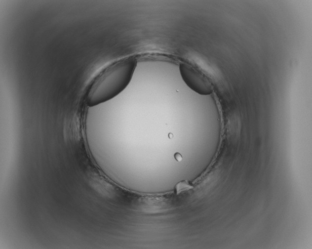 X0000110771310200906291040