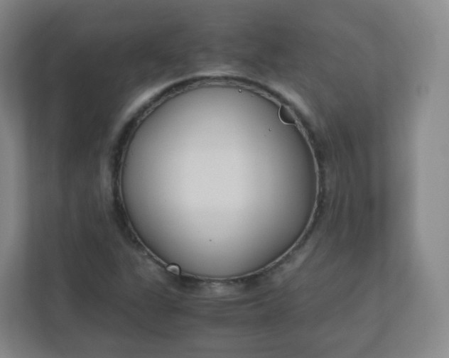 X0000110771311200906291040