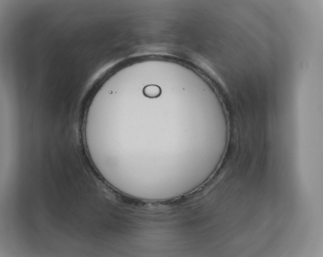 X0000110771312200906291040