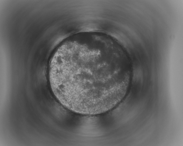 X0000110771314200906291040