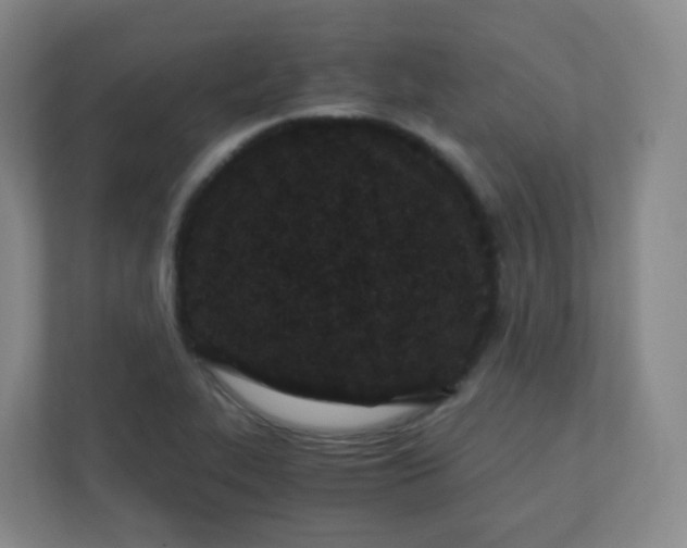 X0000110771319200906291040