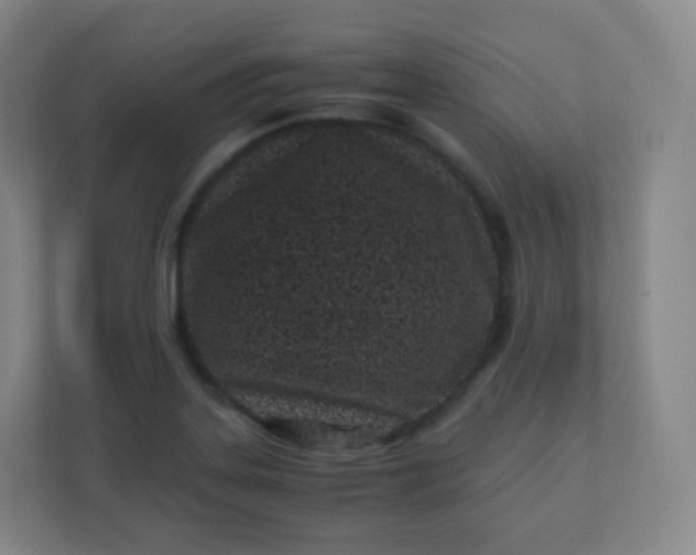 X0000110771323200906291040