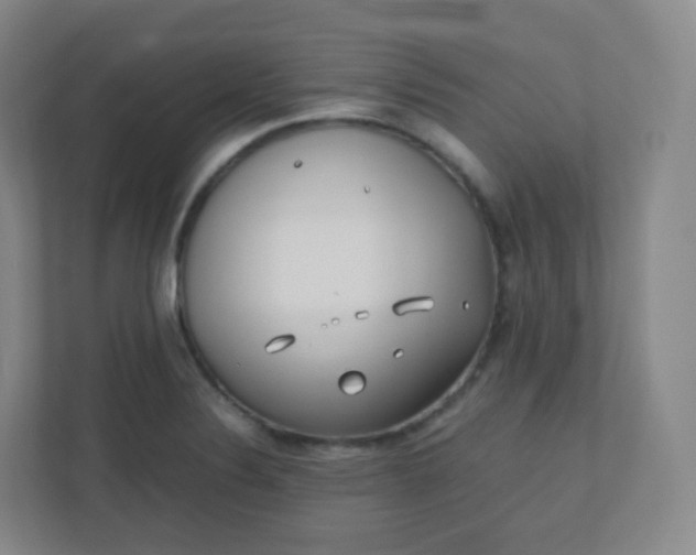 X0000110771324200906291040