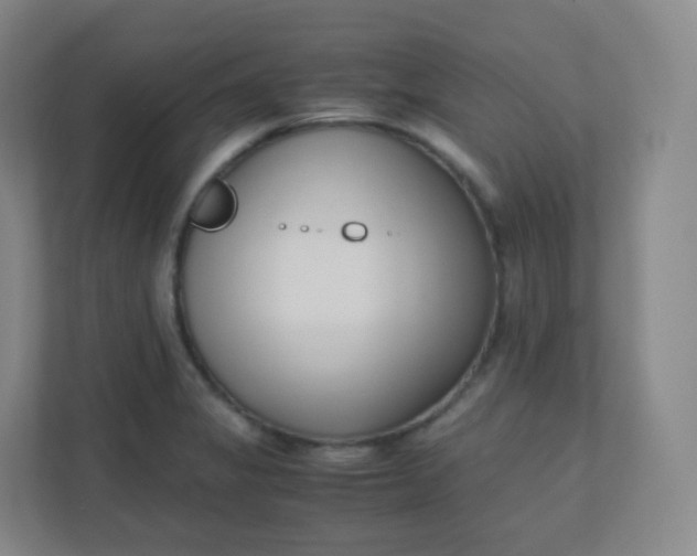 X0000110771325200906291040