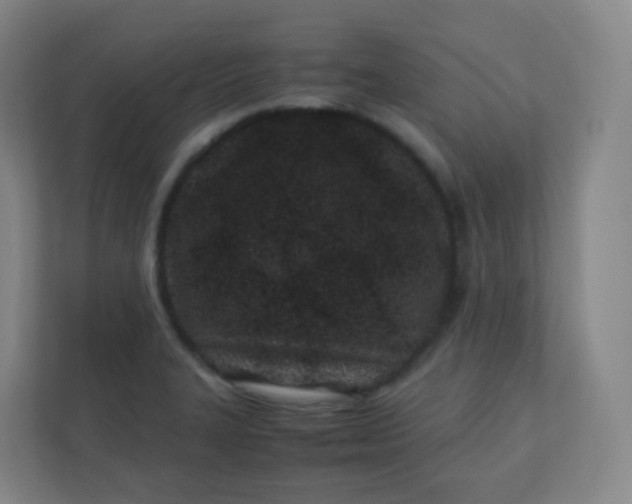 X0000110771327200906291040