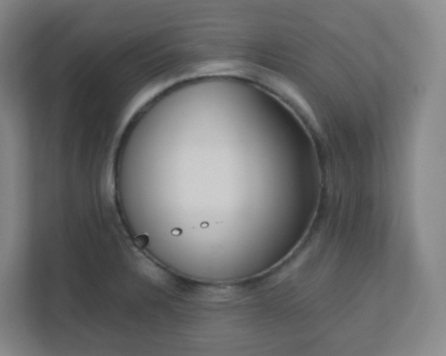 X0000110771328200906291040