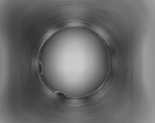 X0000110771330200906291040