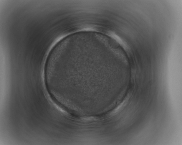 X0000110771331200906291040