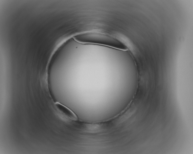 X0000110771332200906291040