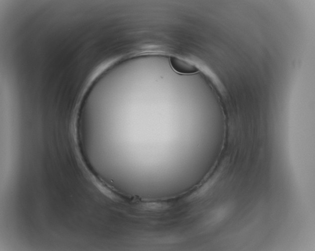 X0000110771333200906291040