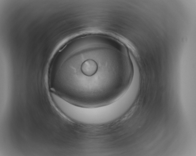 X0000110771334200906291040