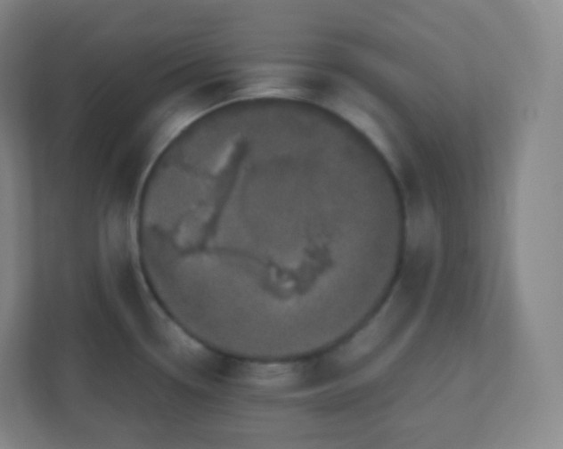 X0000110771338200906291040