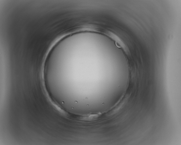 X0000110771339200906291040