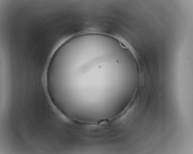 X0000110771341200906291040