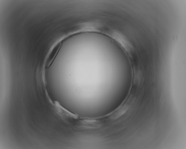 X0000110771342200906291040