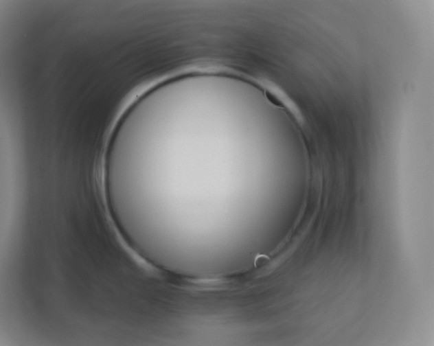 X0000110771343200906291040